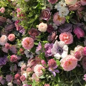 Meet your Posher, Mercy